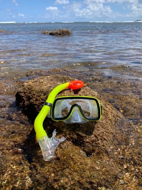 Kids Dry Snorkel Adventure in Hanalei, Hawaii