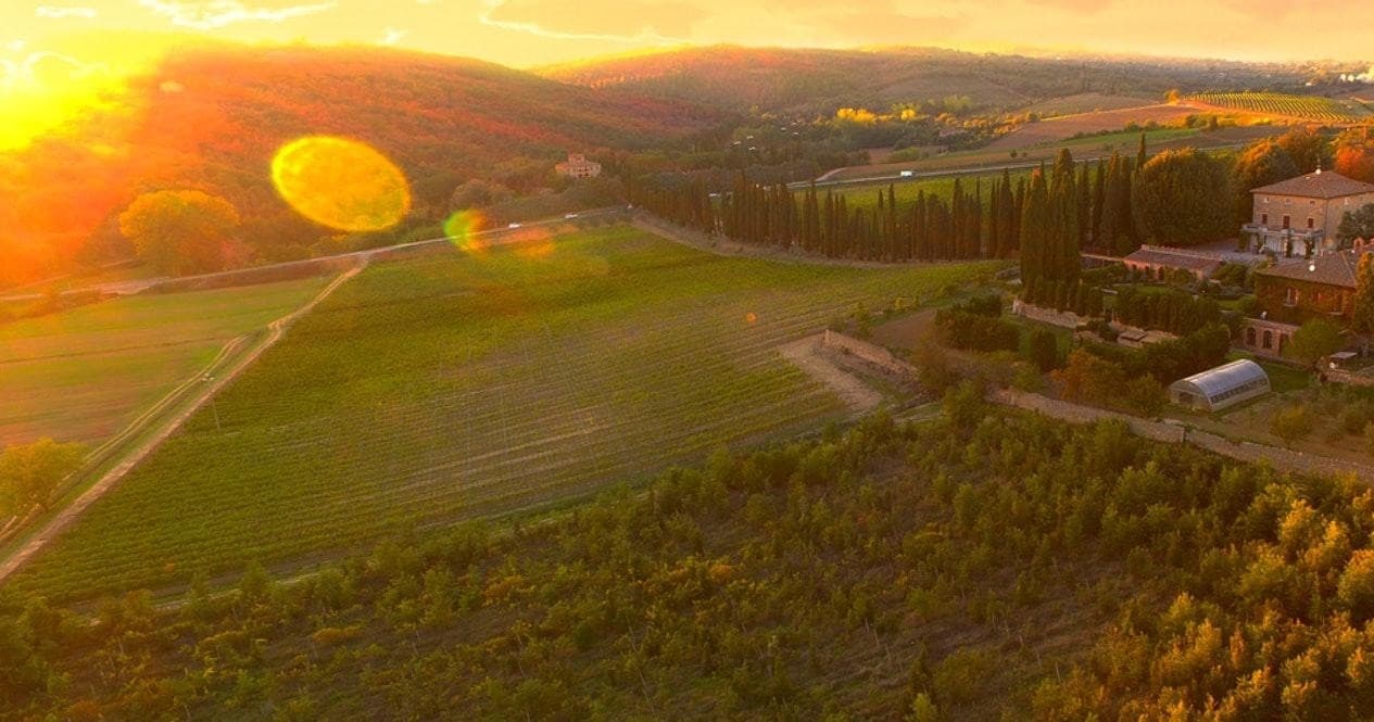 Tuscan Wine Tasting in Val di Chiana with Hidden Experiences