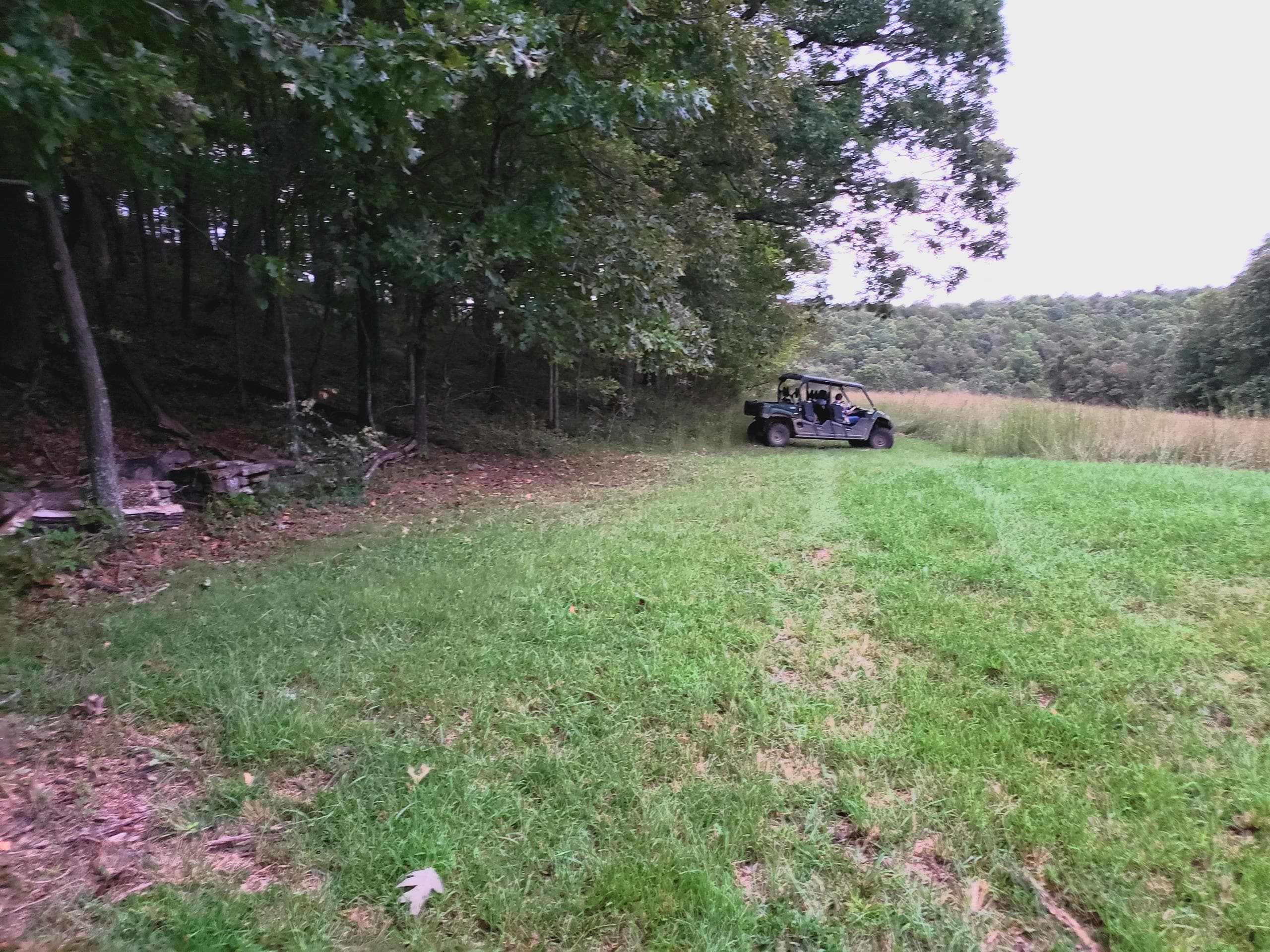 Primitive Camping at Cockatiel Camp B by Wilderness Rider Buffalo Ranch