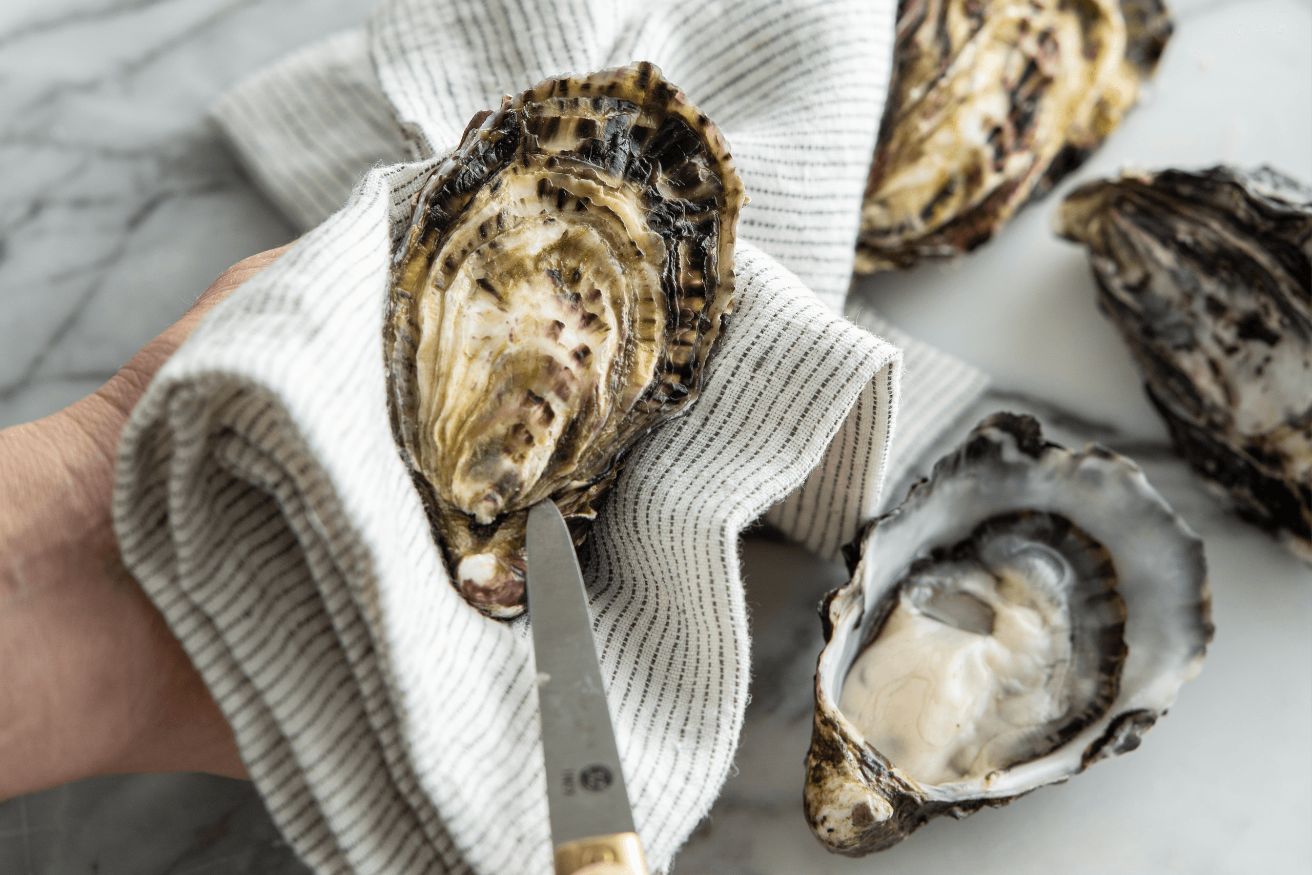 Oysters & Tyrrells Semillon Masterclass at Sydney Fish Market