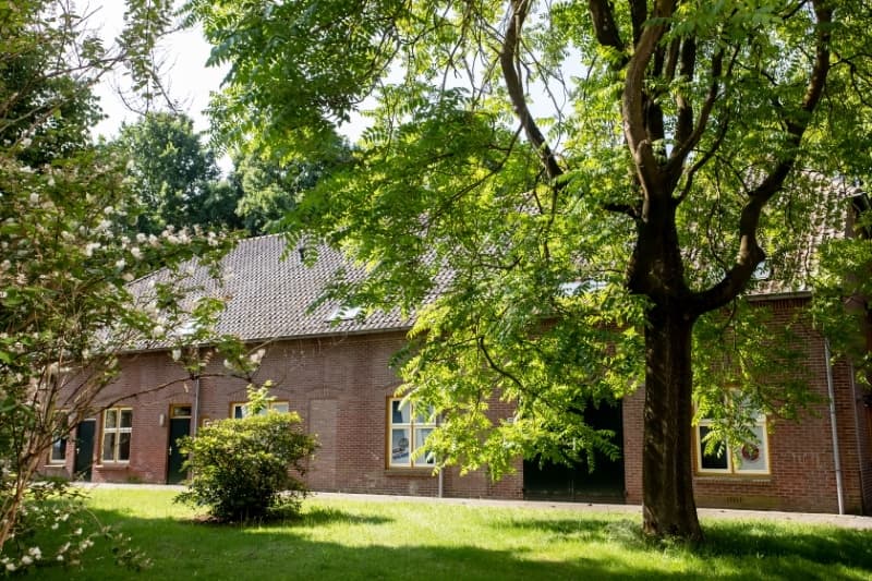 Sunlit courtyard garden beside red-brick lodge with trees