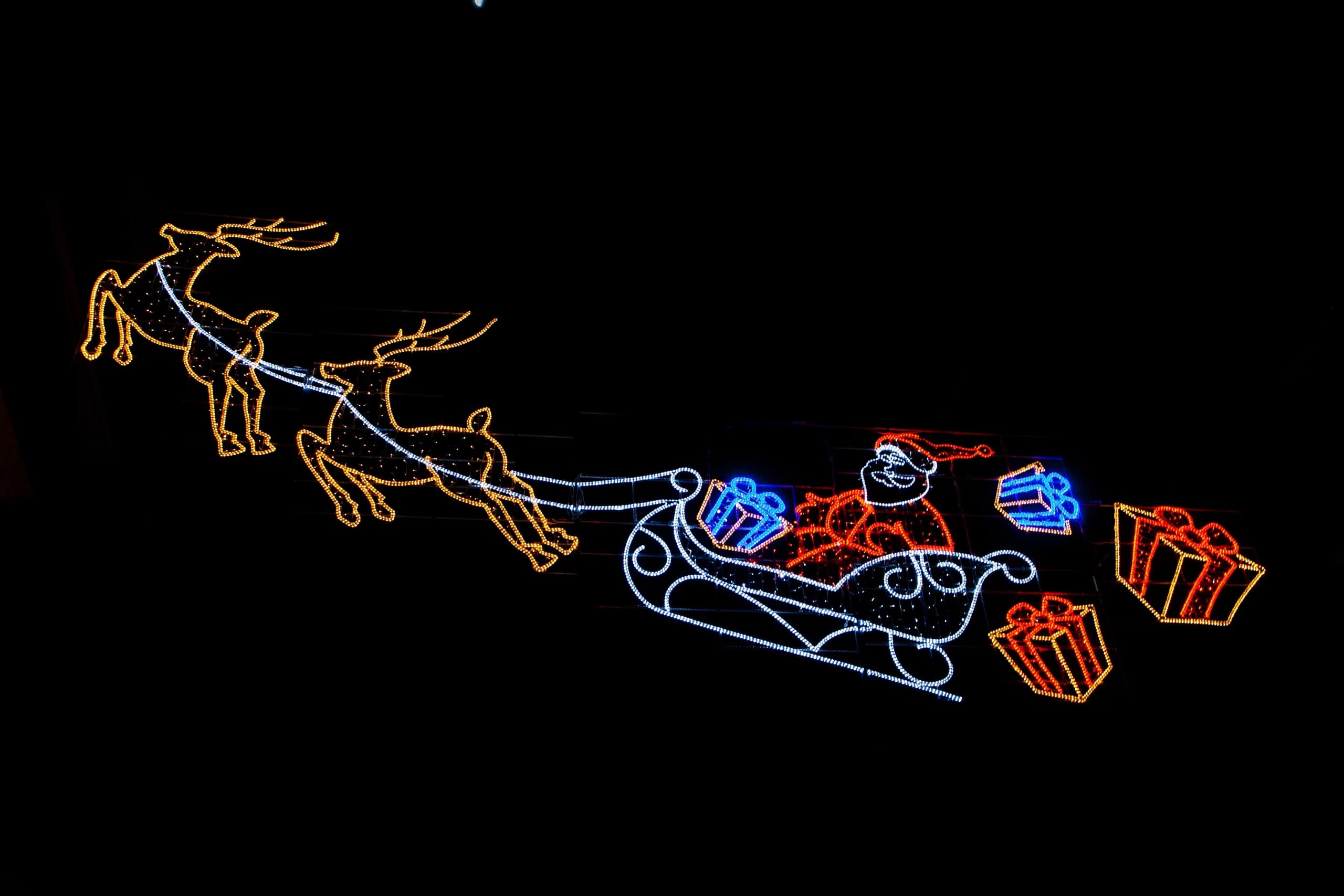 Explore Bee City Zoo’s Festival of Lights: A Winter Wonderland Wagon Ride Experience