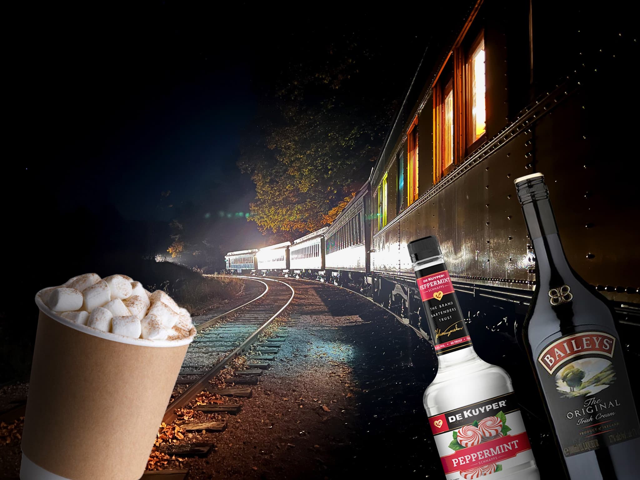 Holiday Night Cap Train Ride in North Freedom, WI