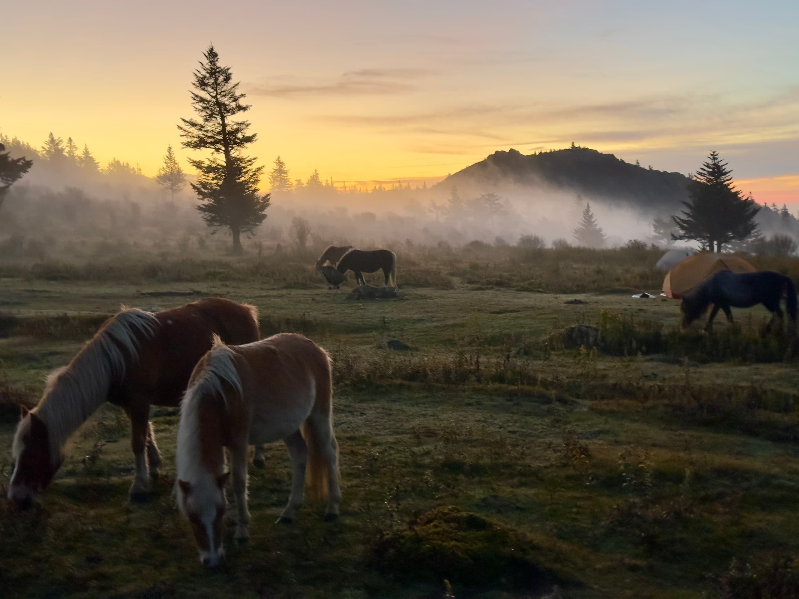 Paint the Highlands: Watercolor Backpacking in Grayson Highlands