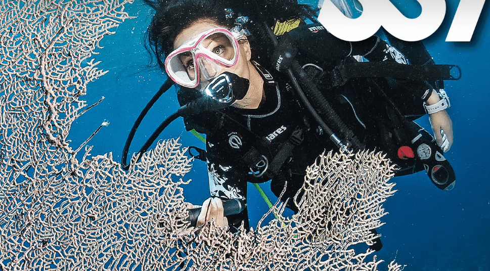 SSI Open Water Course with Karleyth Diving in St Mawes