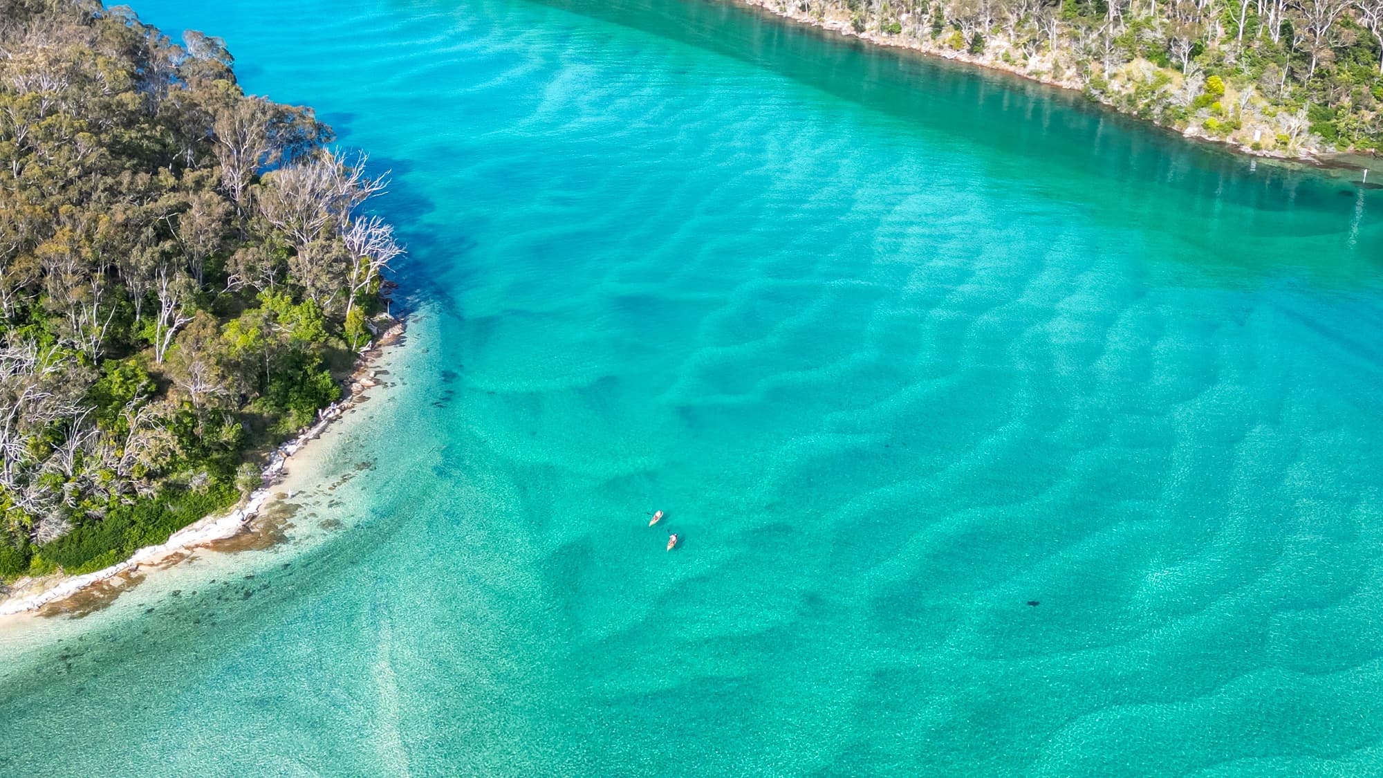 Explore Pambula River Kayak Tour: Guided Adventure through Beowa National Park’s Pristine Waters