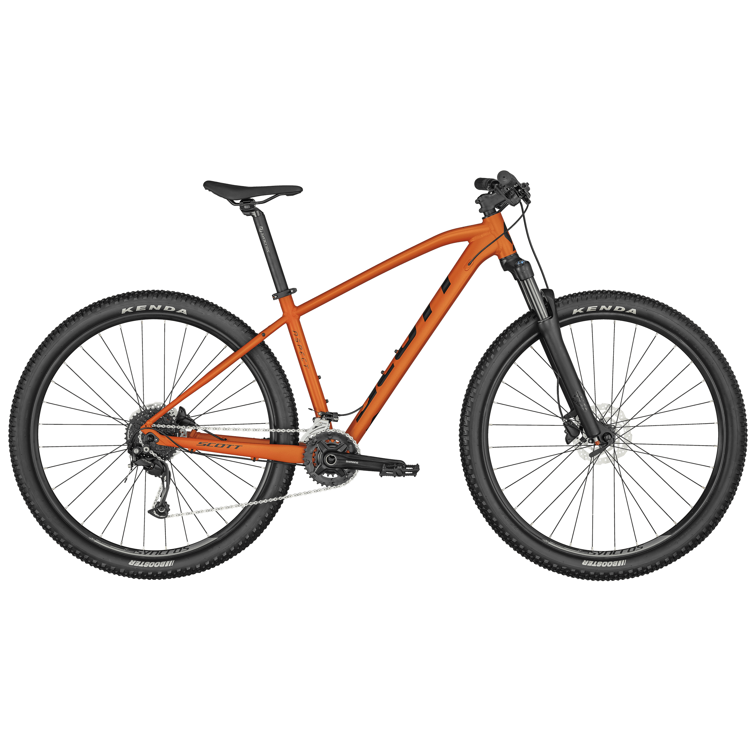 Mountain Biking with Ezee Riders in East Lothian