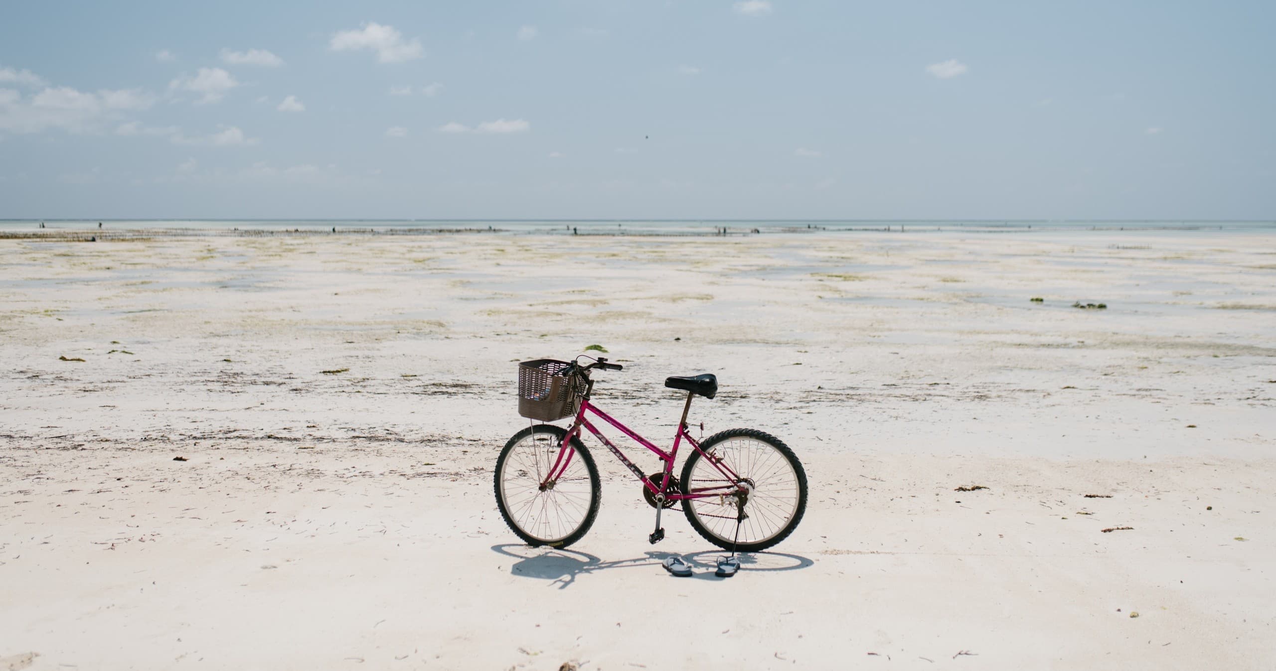 Scenic Four Day Bike Rental in Hilton Head Island