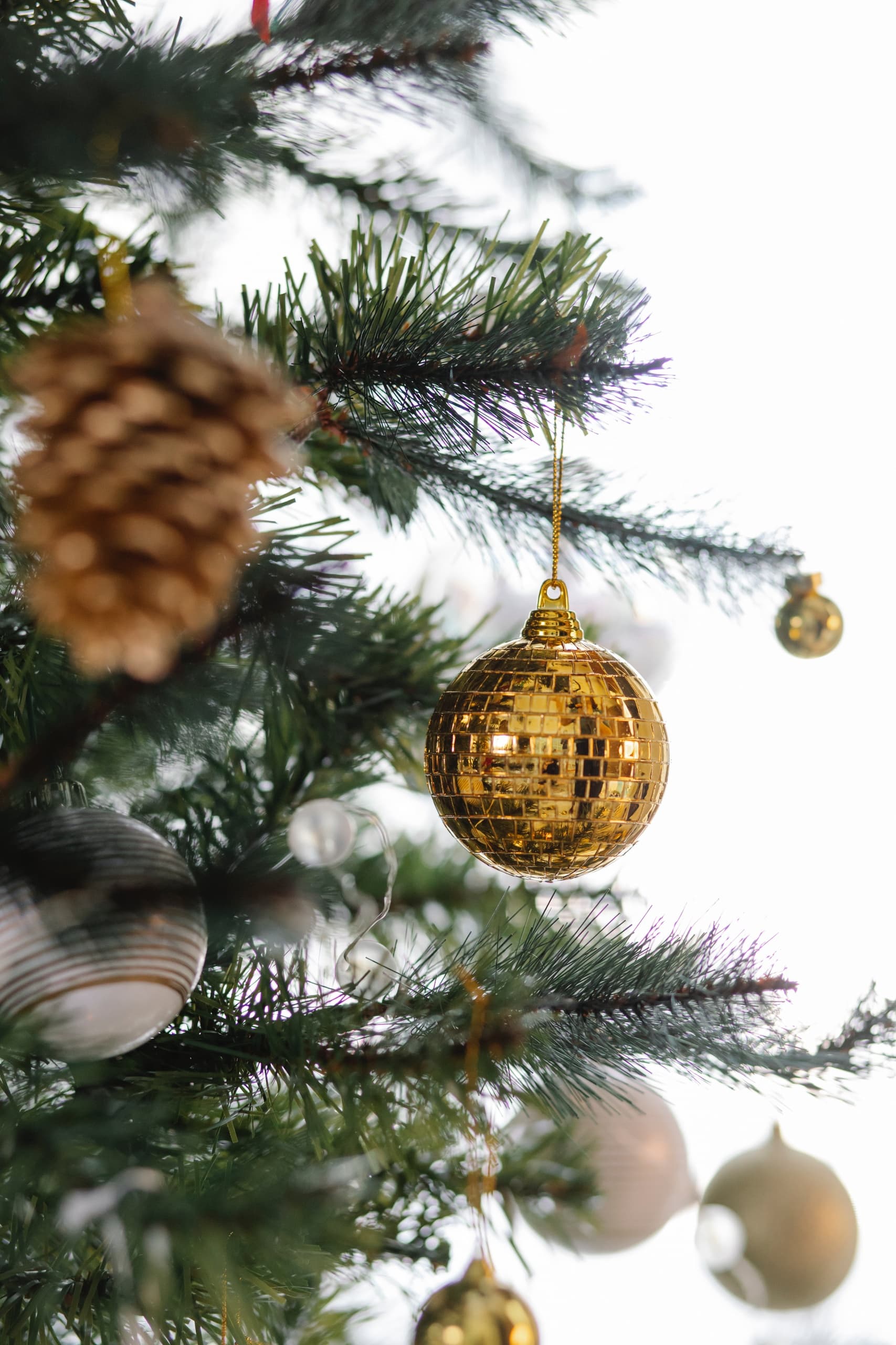 Historic Christmas Tour at Magnolia Hall