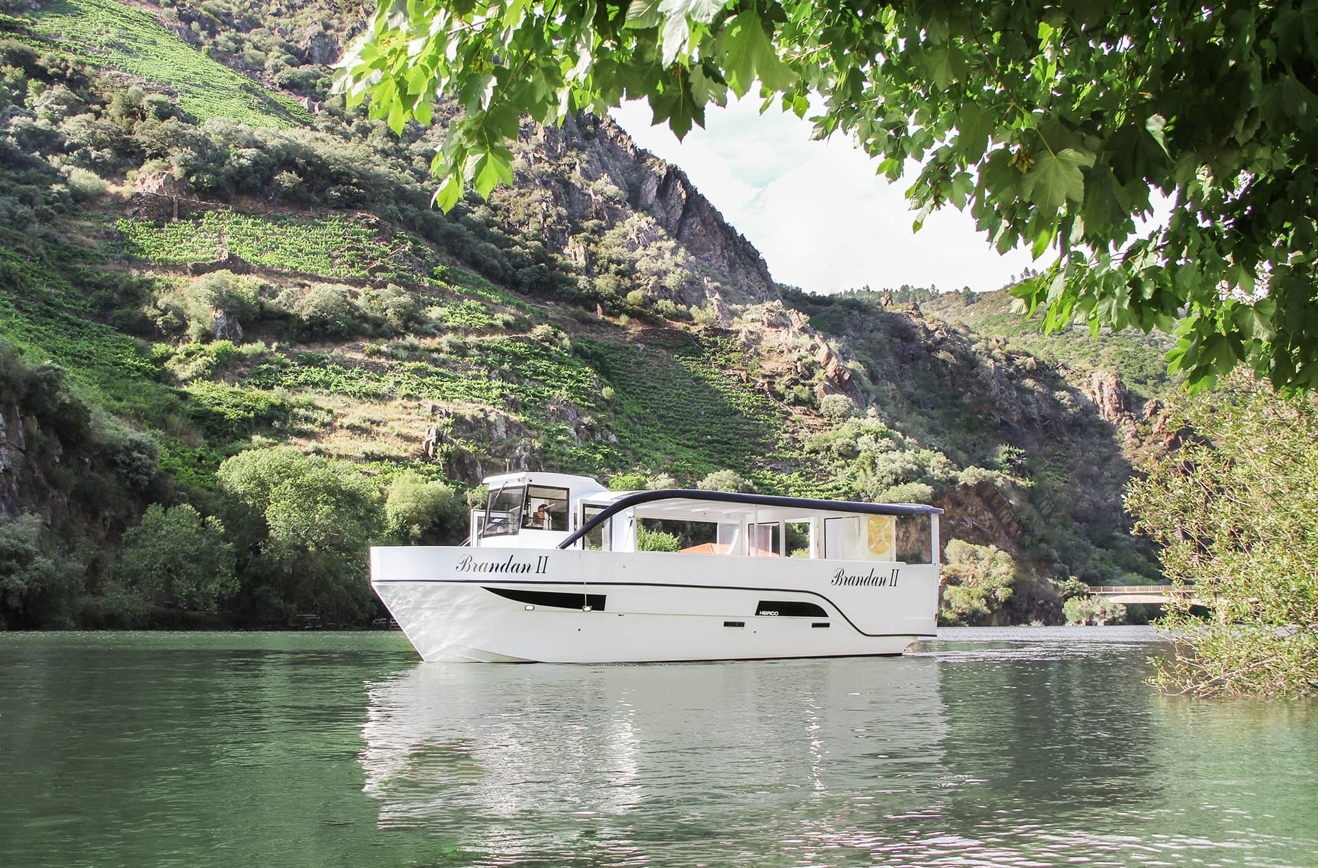 Cañón del Sil Cruise & Wine‑Paired Lunch — BARCO + COMIDA, Ribeira Sacra photo 3
