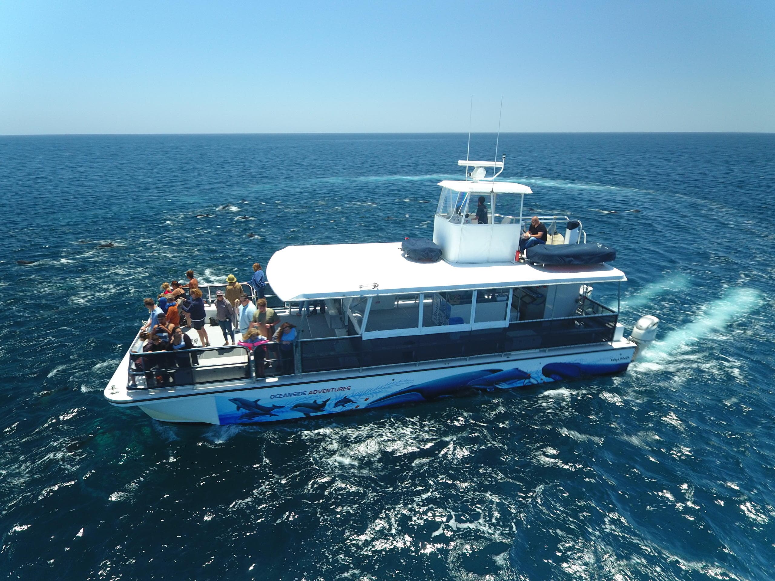 Private Whale Watching Charter in Oceanside, CA