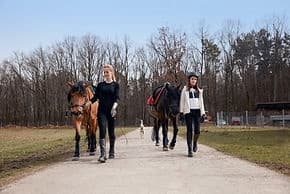 Trail riders walking horses on rural gravel path at sunrise