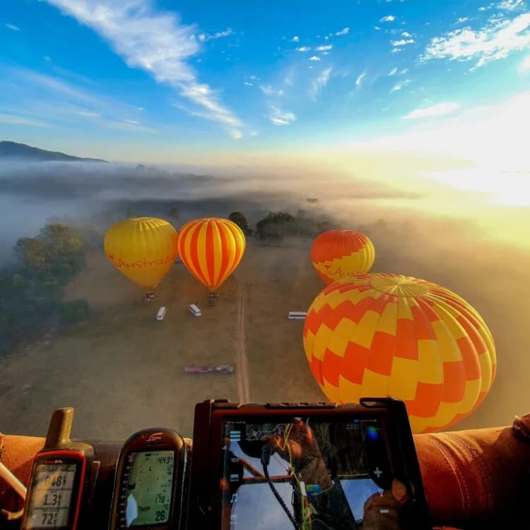 Sunrise Hot Air Balloon Over Gold Coast Hinterland with Vineyard Breakfast & Alpacas