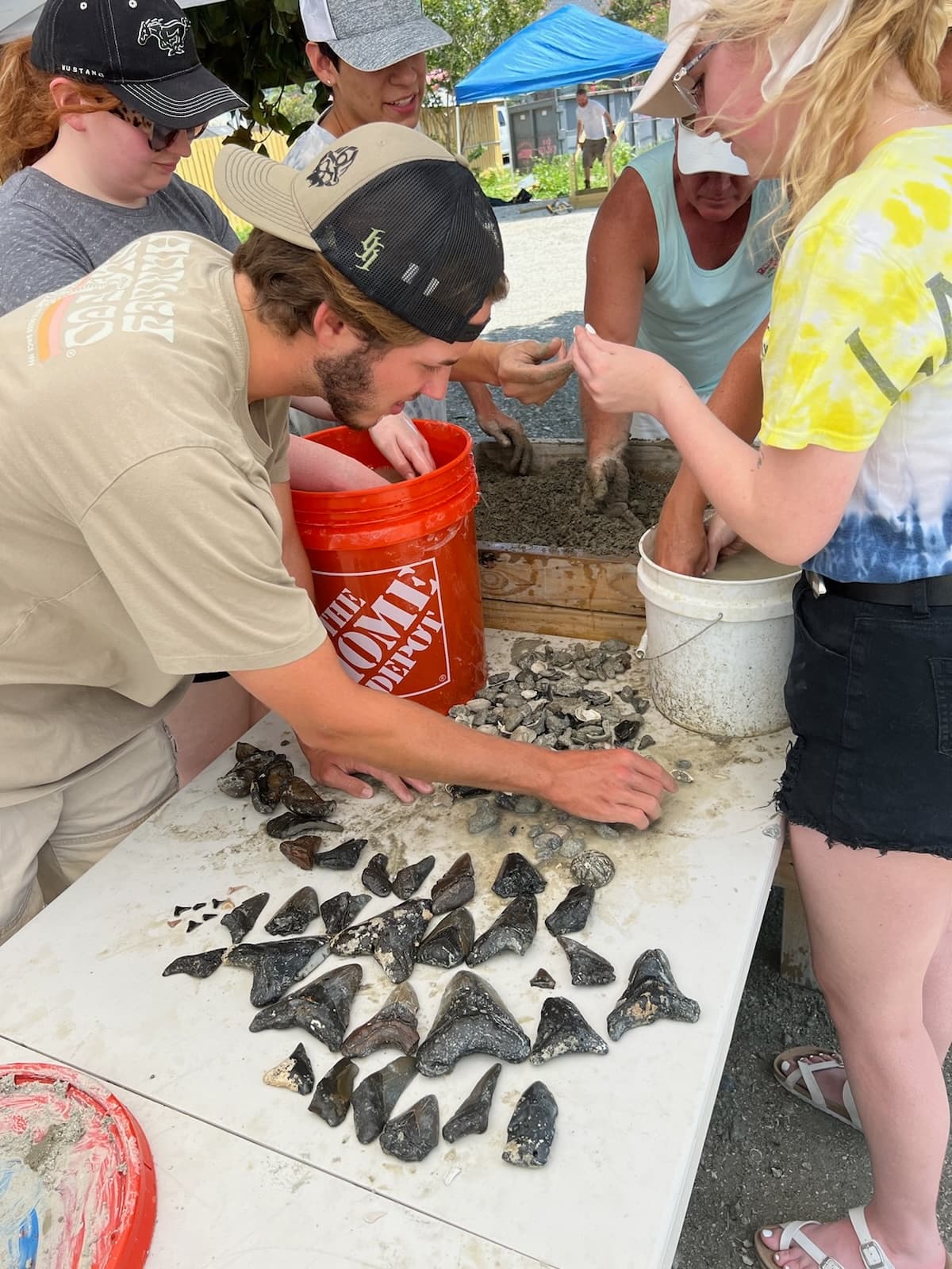 Group sifting for shark teeth on Myrtle Beach screening table