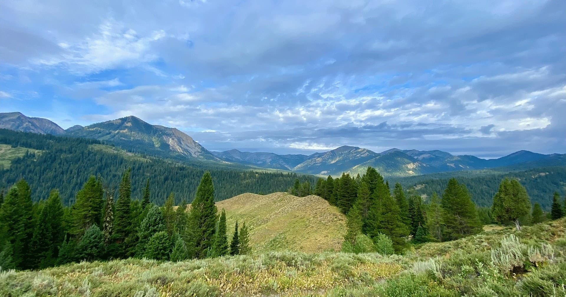Rolling green mountain hills and forest panoramic vista