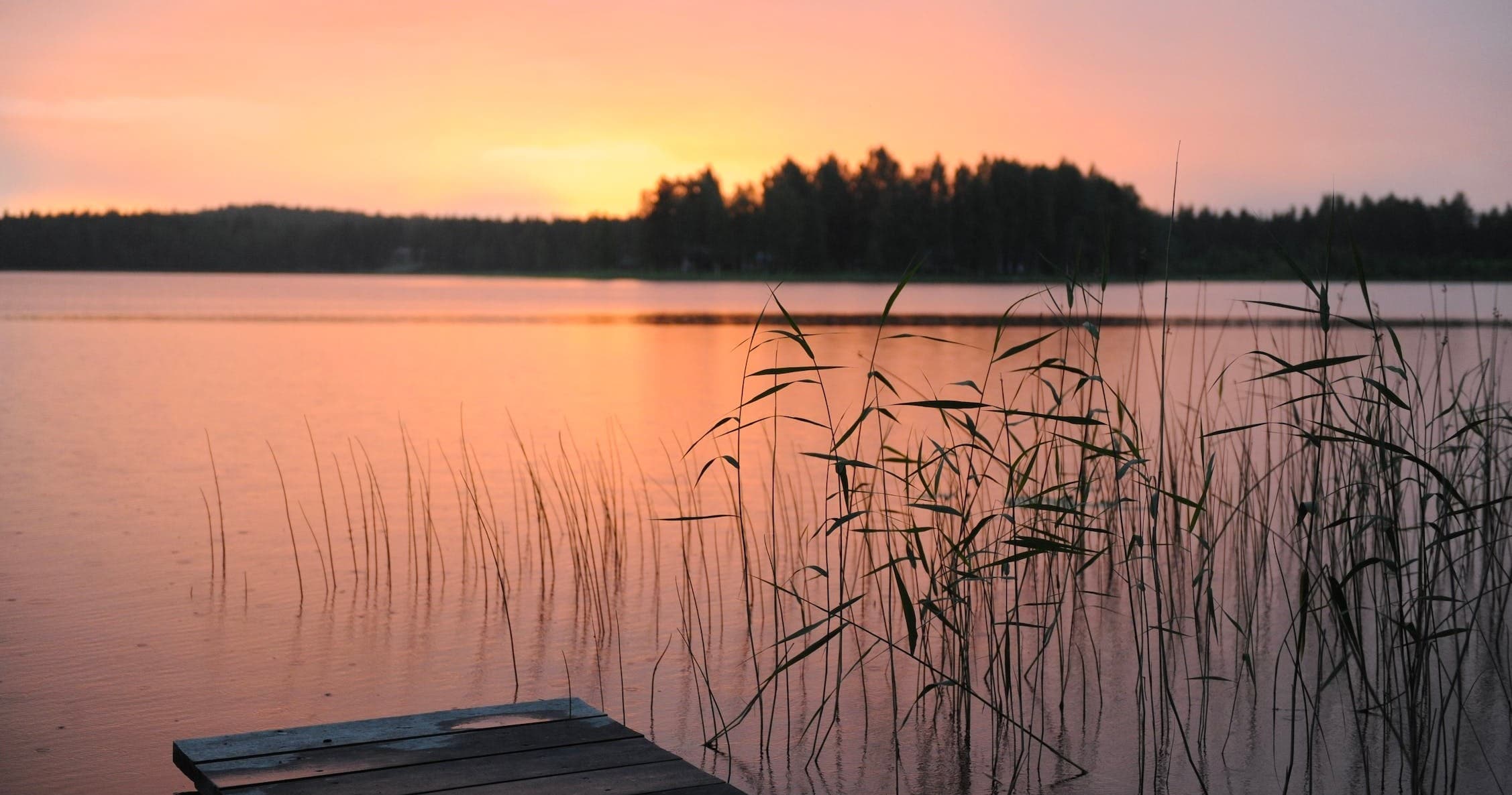 Sunset lakeshore with reeds and small dock, scenic boat access
