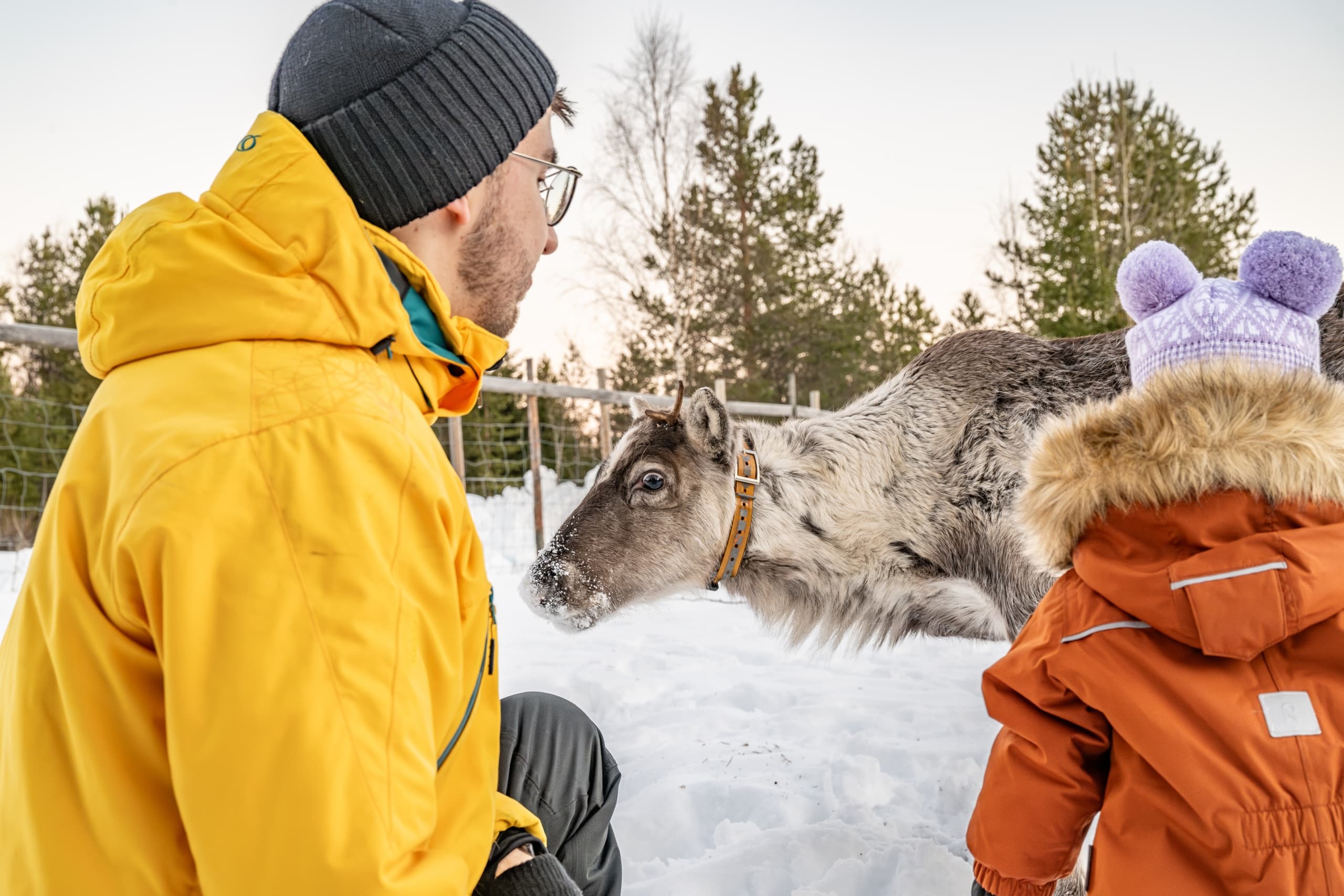 Ukkohalla Reindeer Farm Visit: Hands-On Arctic Experience in Hyrynsalmi photo 2