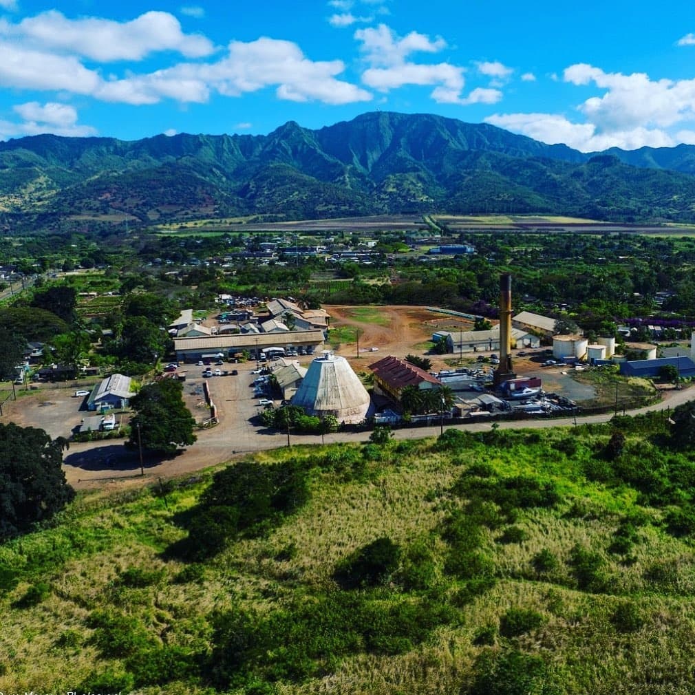 Taste, Tide, and Lava: North Shore Oʻahu Adventure Tour photo 3