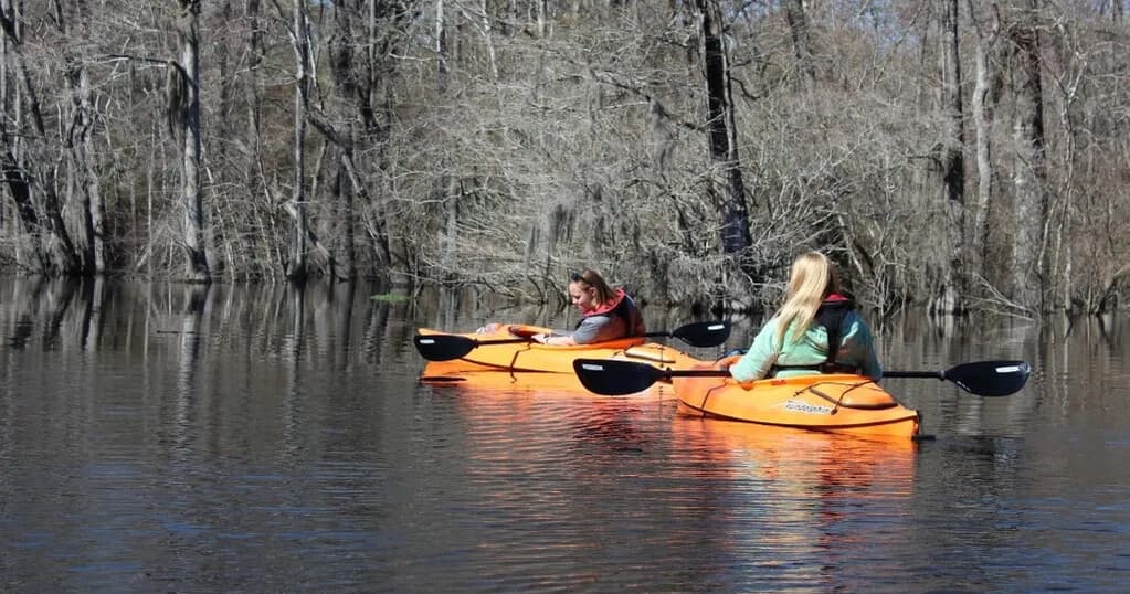 Paddle Ebenezer Creek: 3-Hour Kayak & Canoe Rentals from Tommy Long Landing