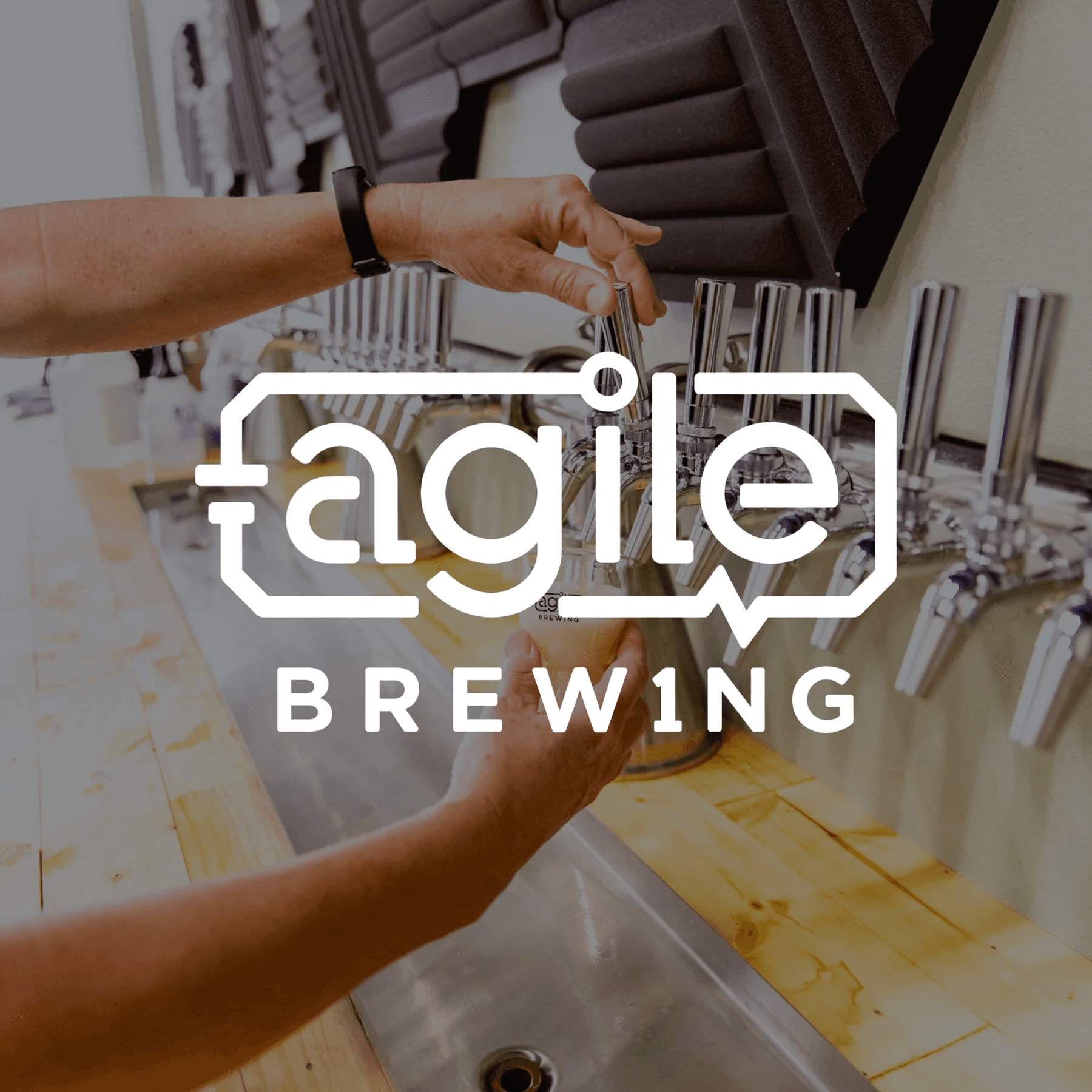Bonsai Bar at Agile Brewing: Make Tiny Trees in Baton Rouge