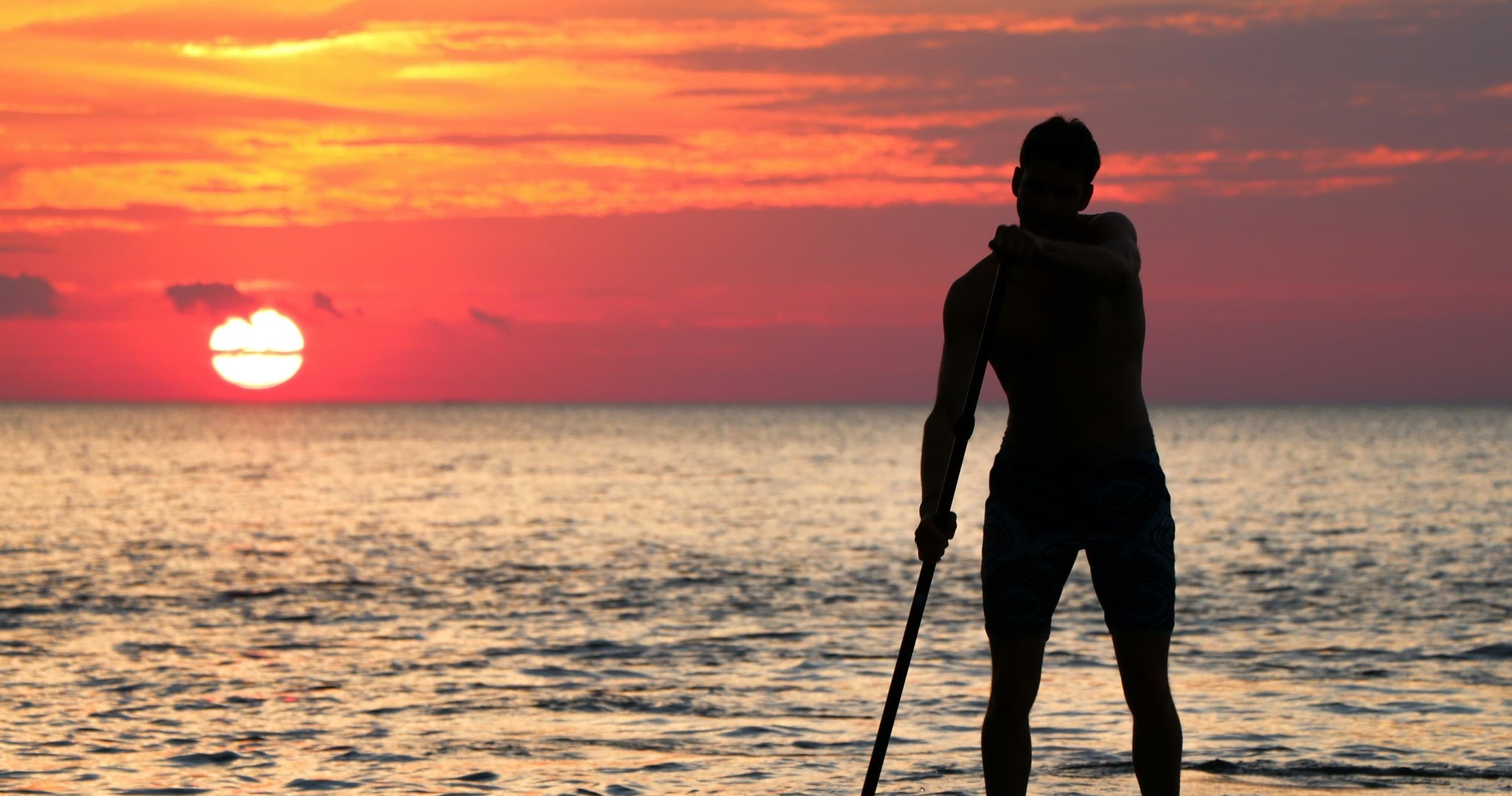 Paddle Kullaberg: Full-Day Stand-Up SUP Rental from Arild