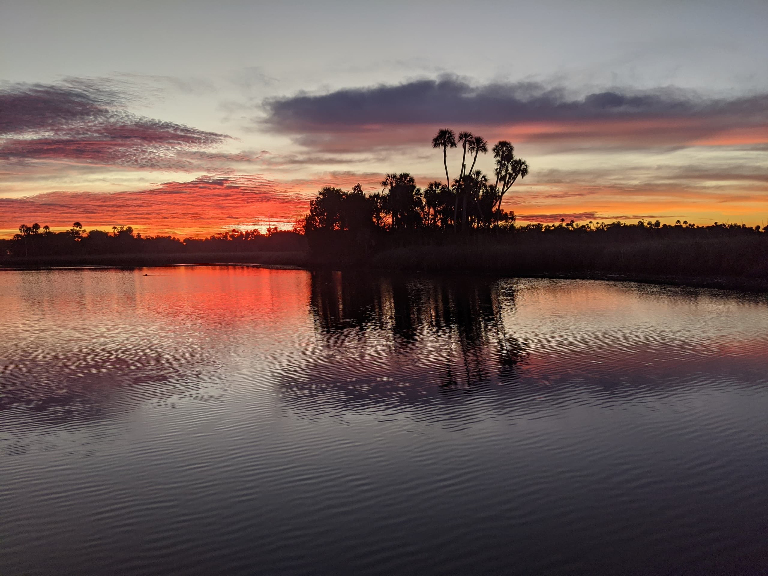 Crystal River Sunset Cruise