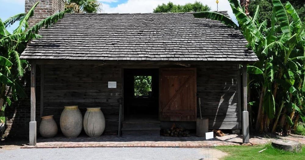 Whitney Plantation & Swamp Airboat Tour with See Nola Hospitality