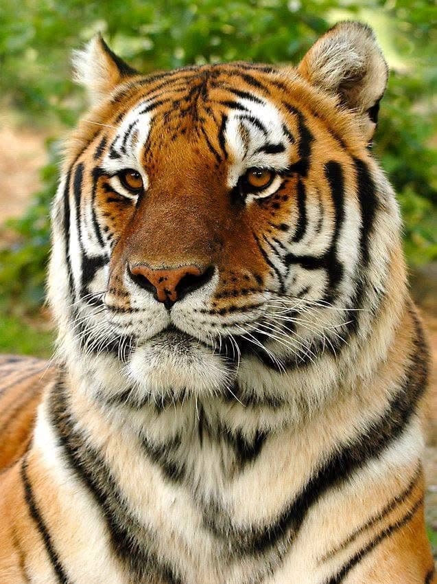 Sussex Zoo & Museum Daily Tickets: Self-Guided 2026 Entry and Visitor Guide