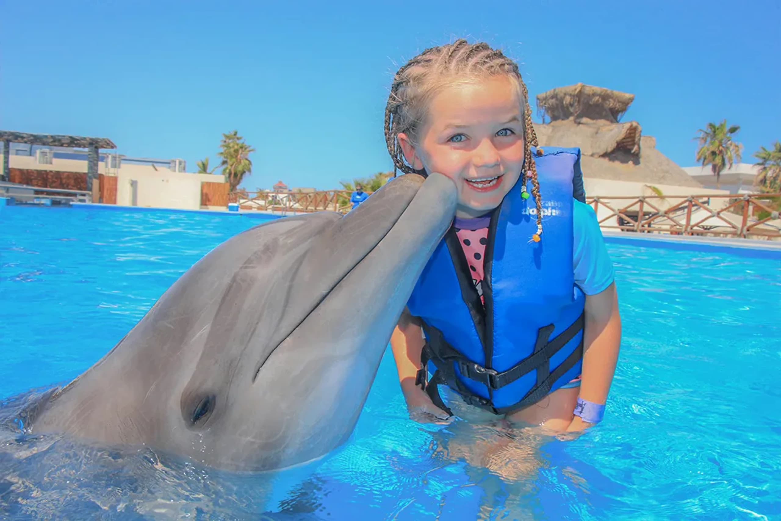 Swim with Dolphins in Cabo San Lucas: 40-Minute Certified Encounters photo 2