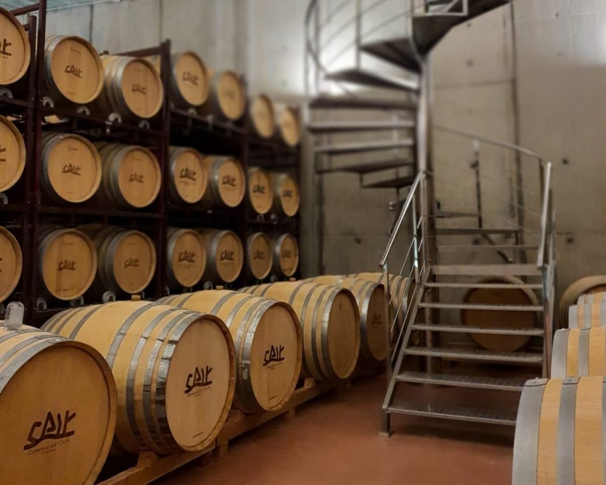 Ribera del Duero Wine Tasting & Culinary Tour from Madrid