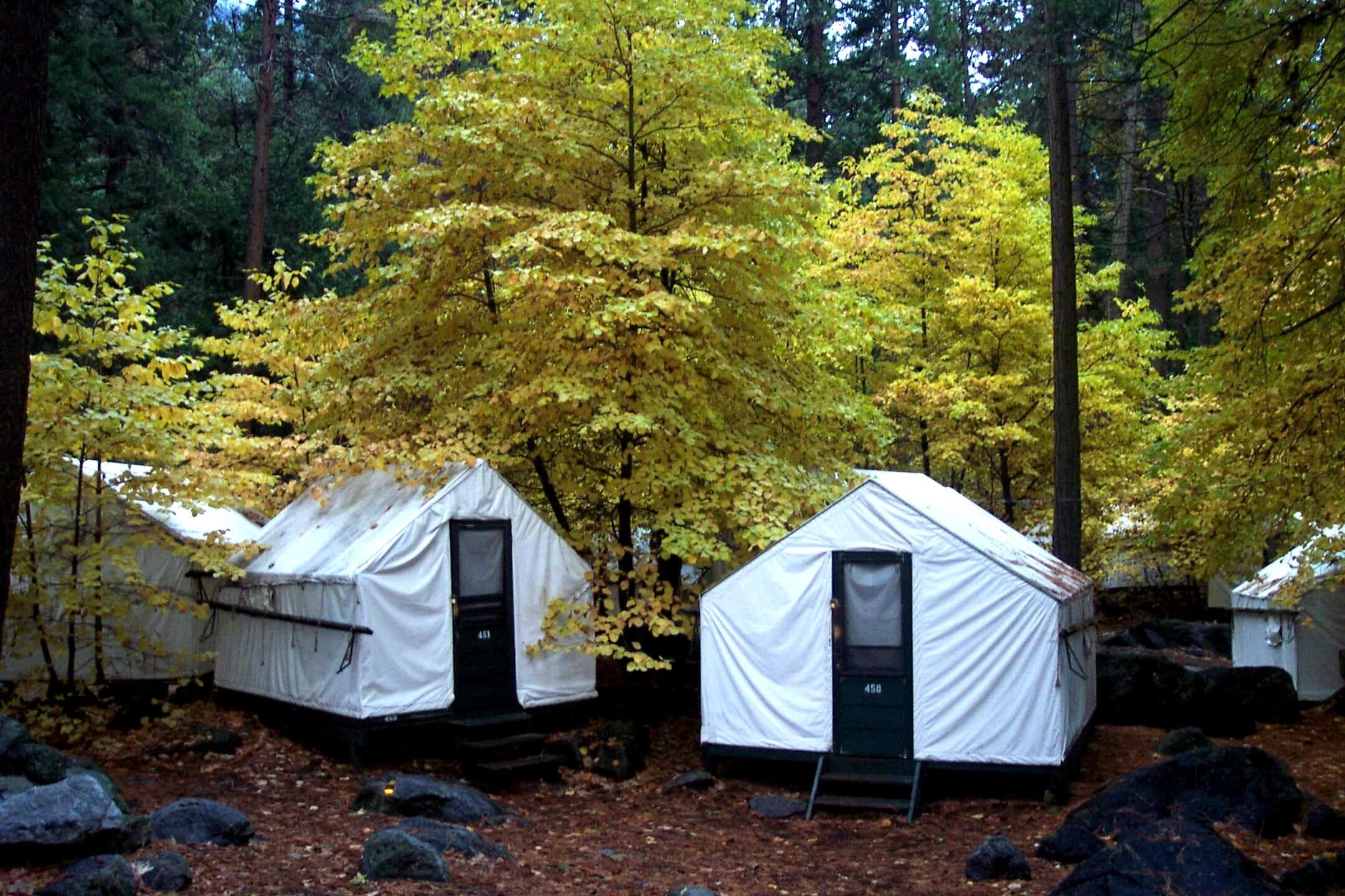 Yosemite Winter Stays with Incredible Adventures