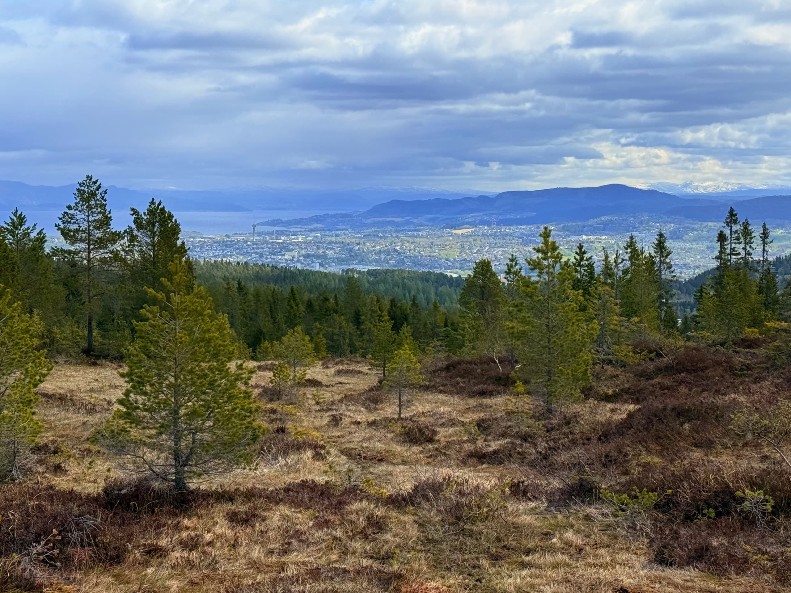 Open moorland and coastal panorama near Trondheim hiking area