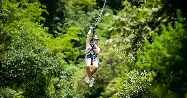 Zip Above Tortola: Original Virgin Canopy Tour Soars Over Johnsons Ghut