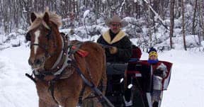 Private Horseback Rides Across 14,000 Acres in Kamas Valley