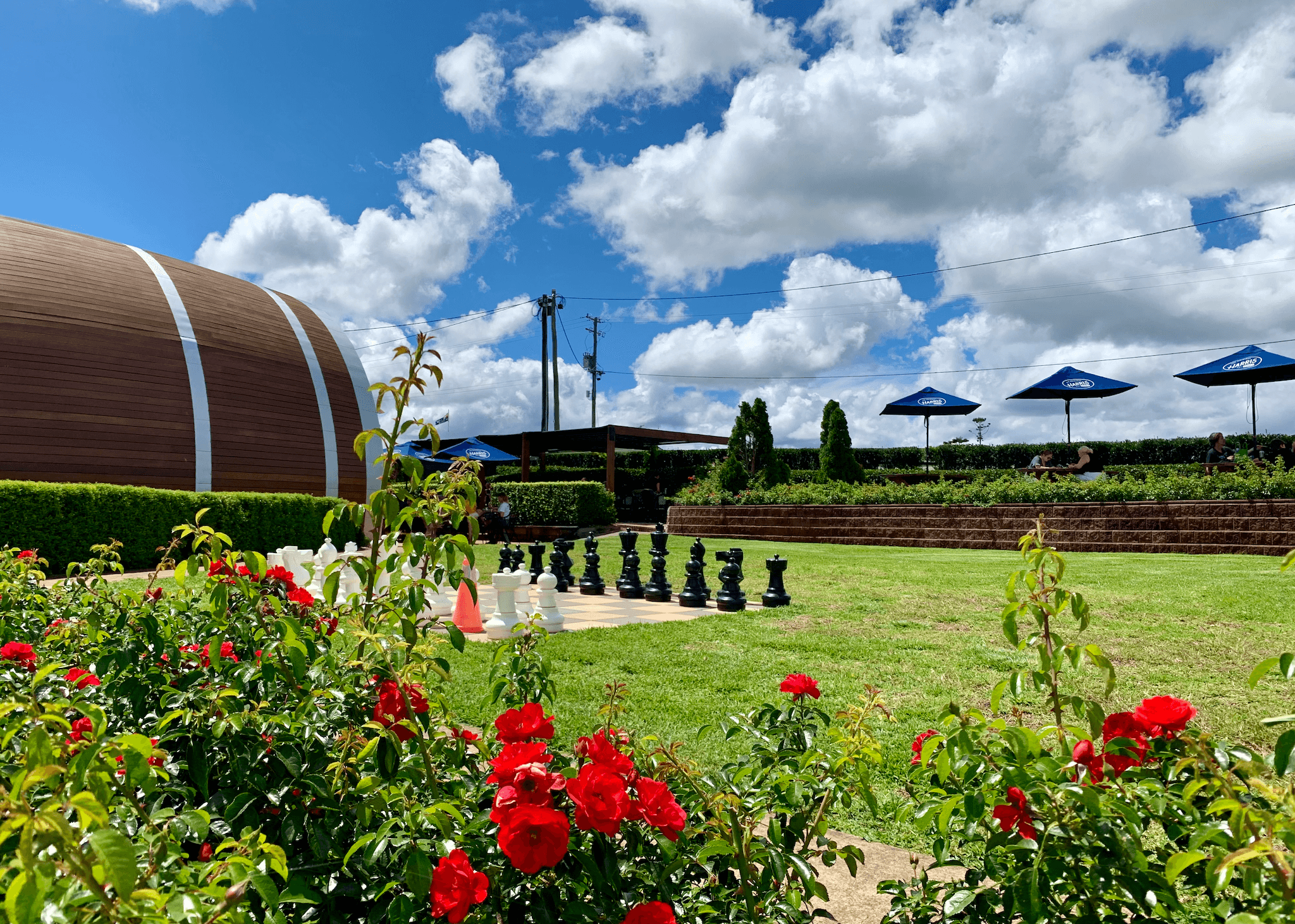 Winery garden with giant chessboard, roses and blue skies