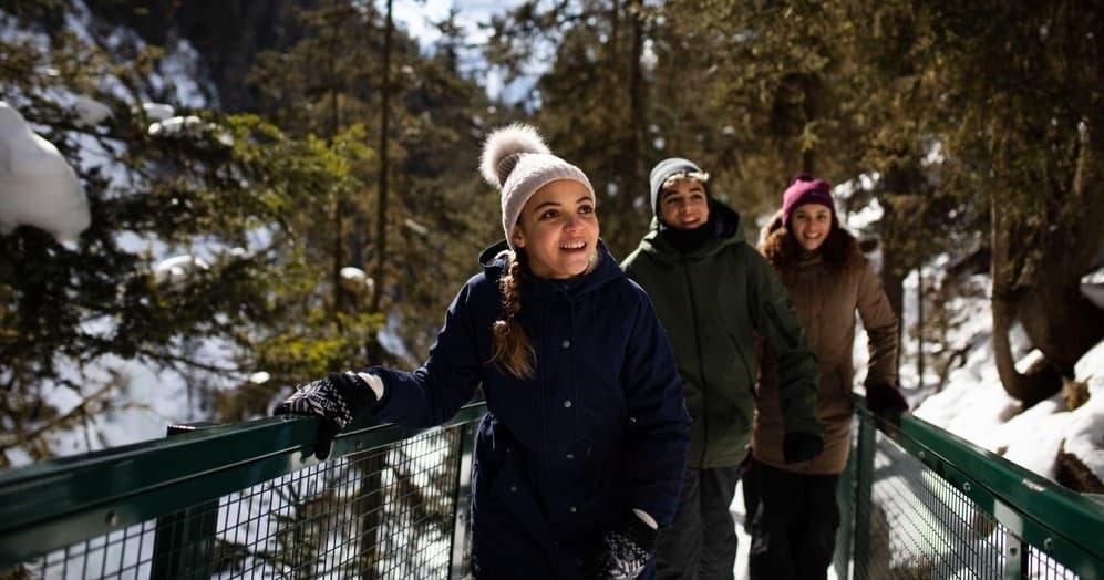 Banff Winter Adventure: Johnston Canyon Frozen Falls with Radventures