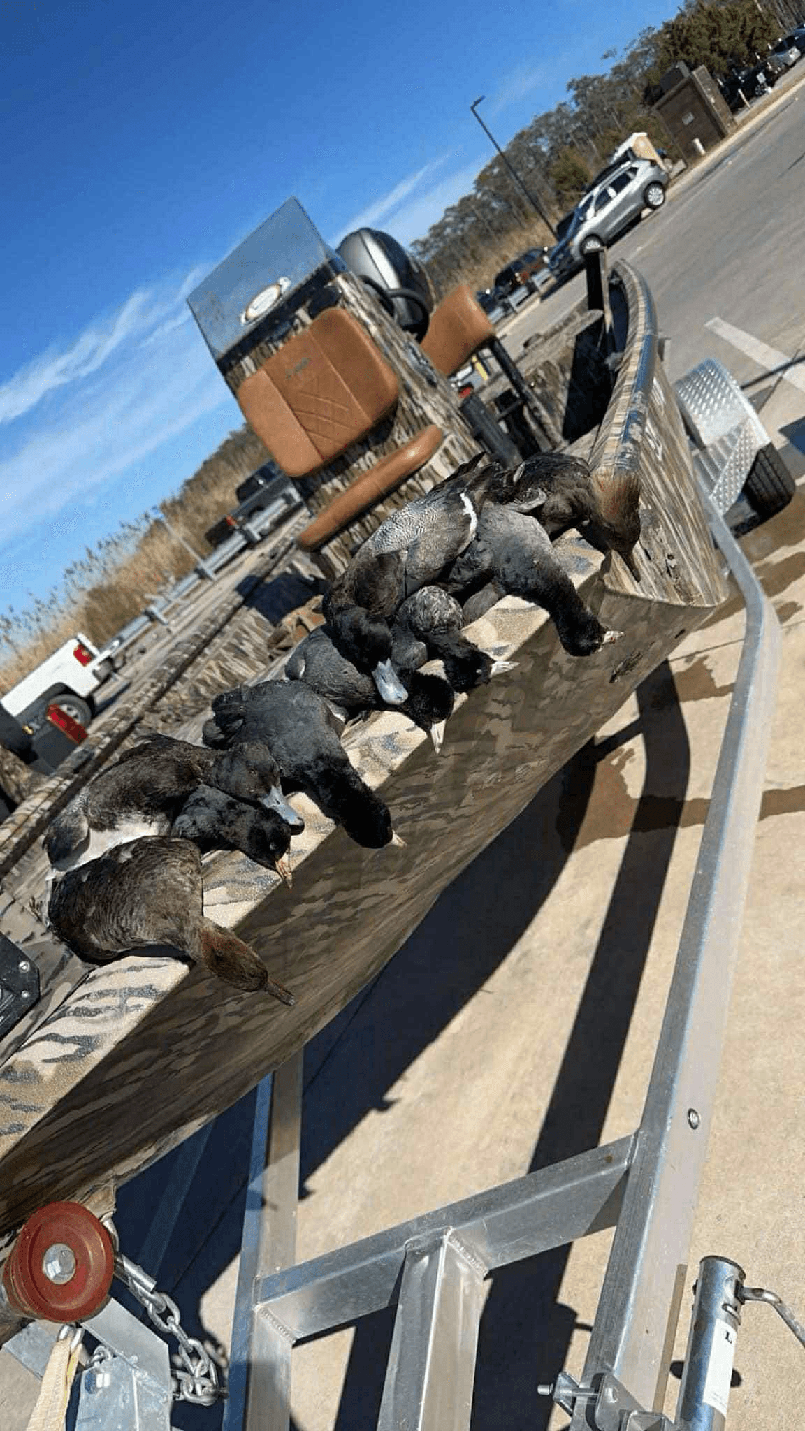 Seaduck Hunt Charter: 4-Hour Open-Boat Waterfowling near Andrews, SC