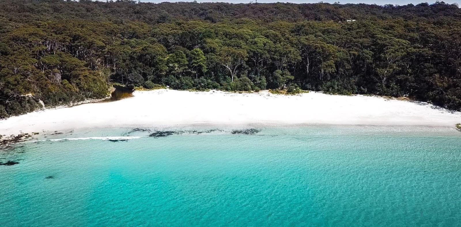 Sandy Stops: Dolphin Encounters and Remote White-Sand Beaches in Jervis Bay