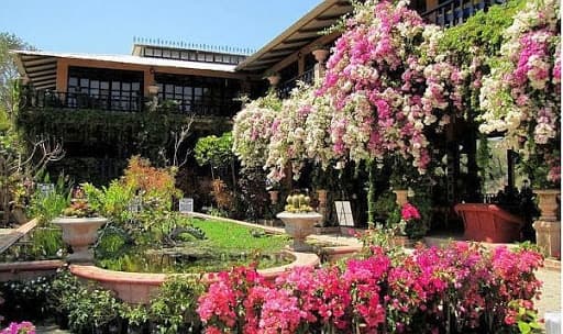 Botanical & Wildlife Tour with Estigo Tours in Puerto Vallarta