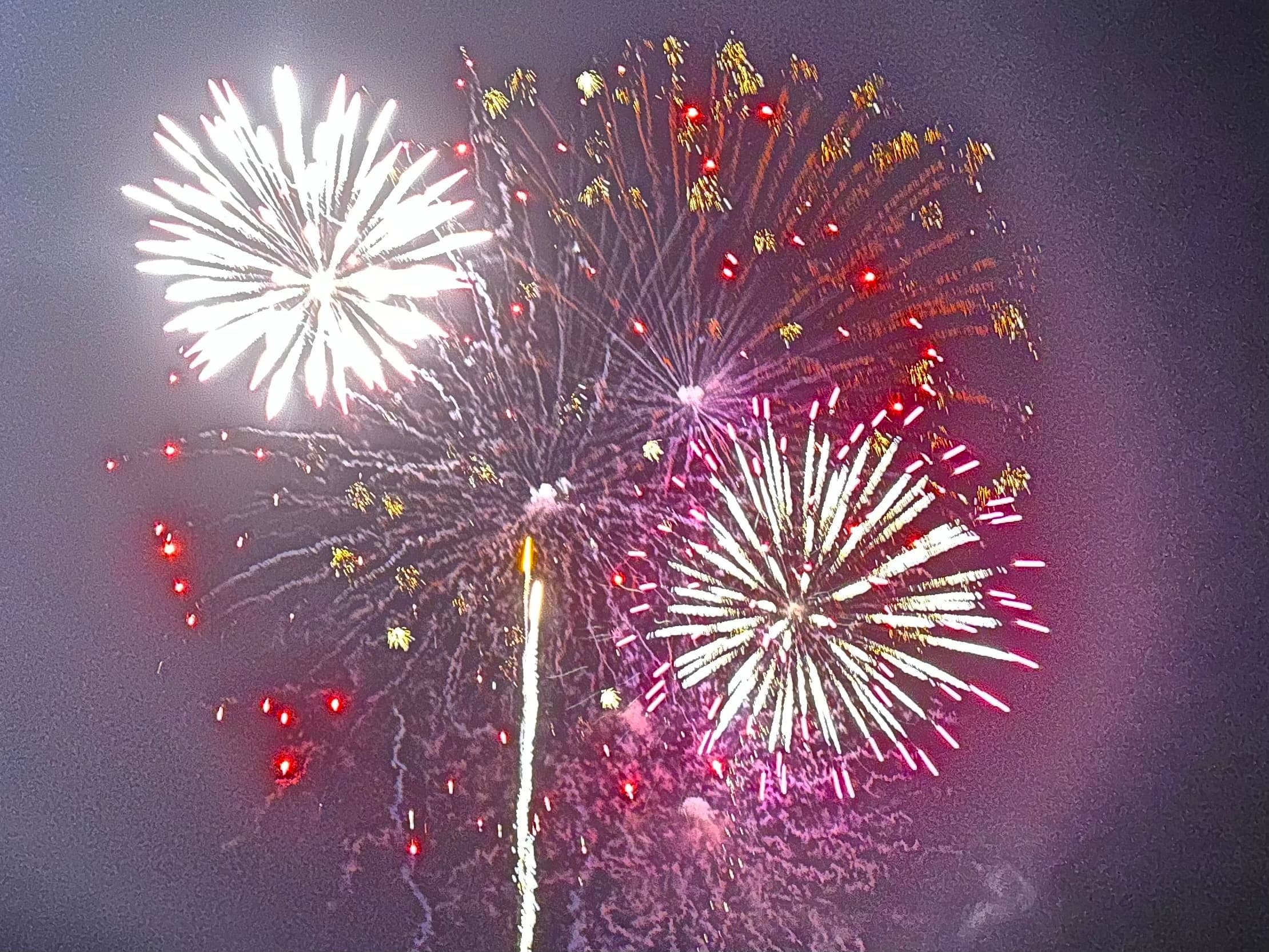 Easter Sunset Dolphin Watch & Fireworks Cruise on Laguna Madre (Port Isabel, TX)