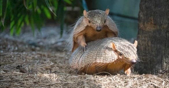 Private Guided Animal Tour in Riverview, Florida — Hands-On, Crowd-Free Encounters
