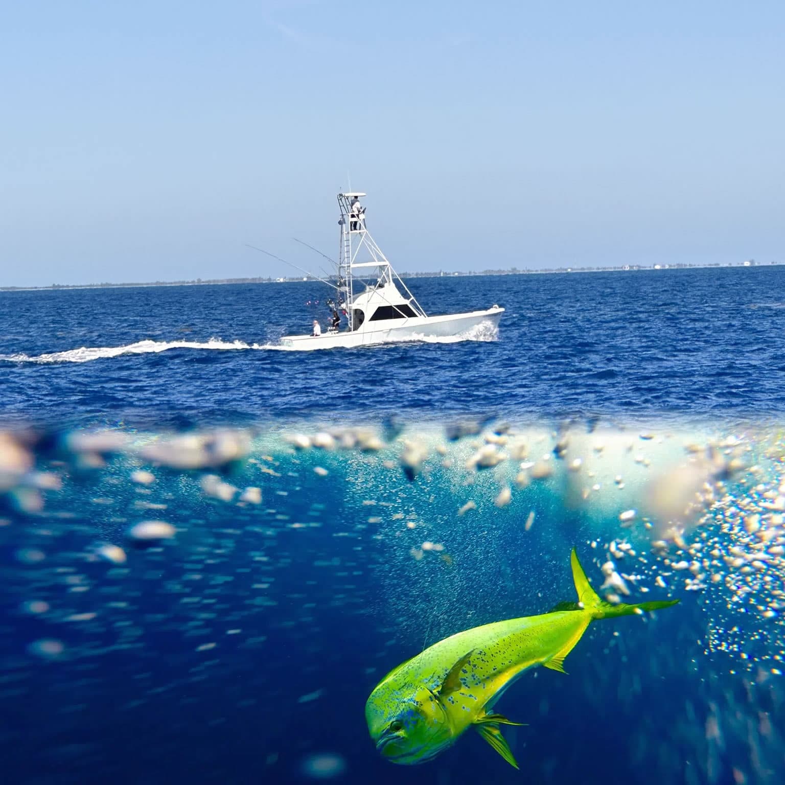 Offshore & Reef Fishing with Ben O'Fishal Sportfishing Charters in Marathon