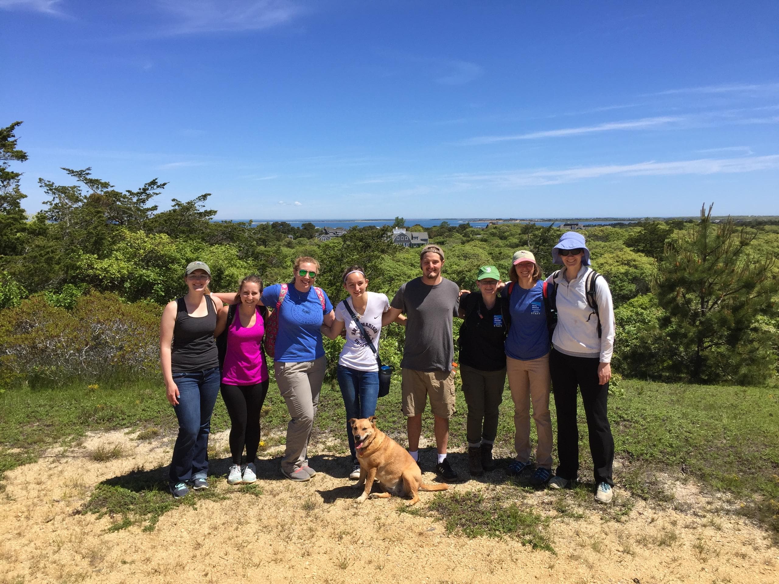 Hiking Adventure at Shawkemo Hills on Nantucket