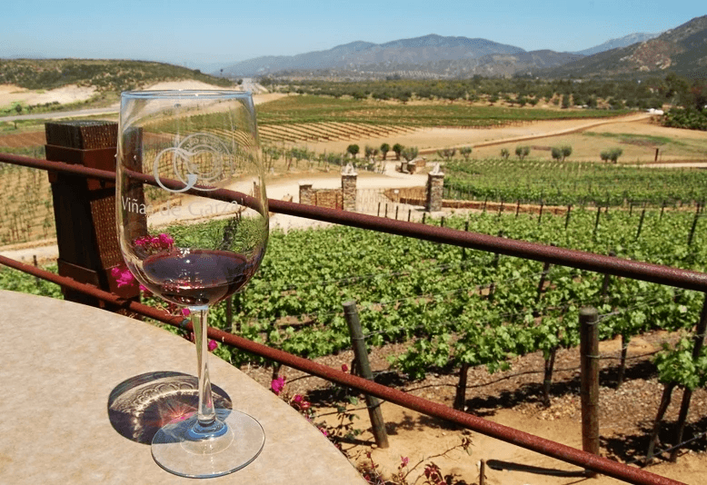 Explore Valle de Guadalupe’s Ruta del Vino Báisca: Mexico’s Premier Wine Adventure