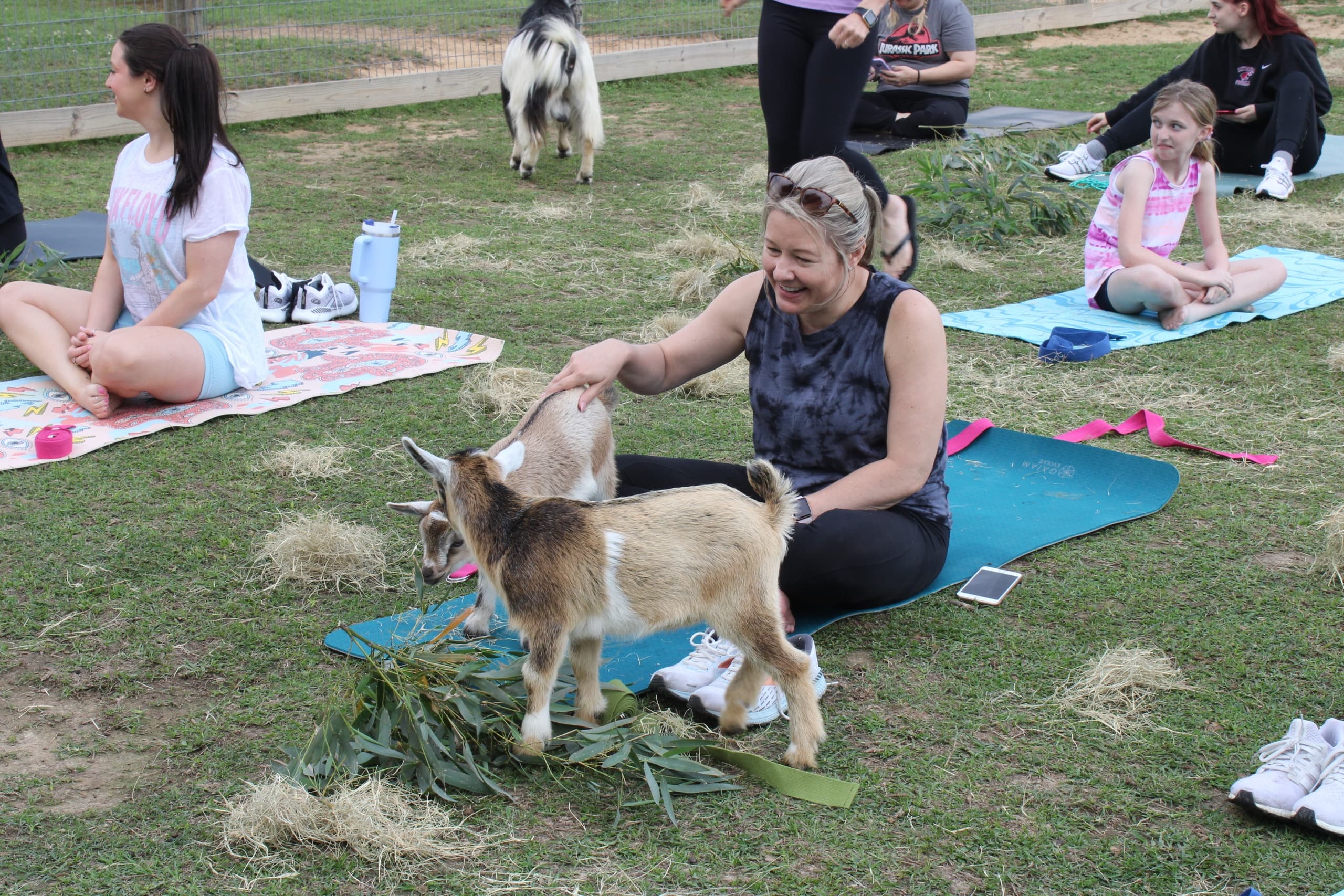 Land Adventures with Magnolia Wilds Goat Yoga Experience
