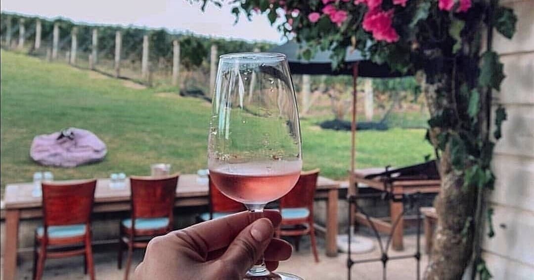 Land Adventures with Kiwi Connect: Waiheke Wine Tour