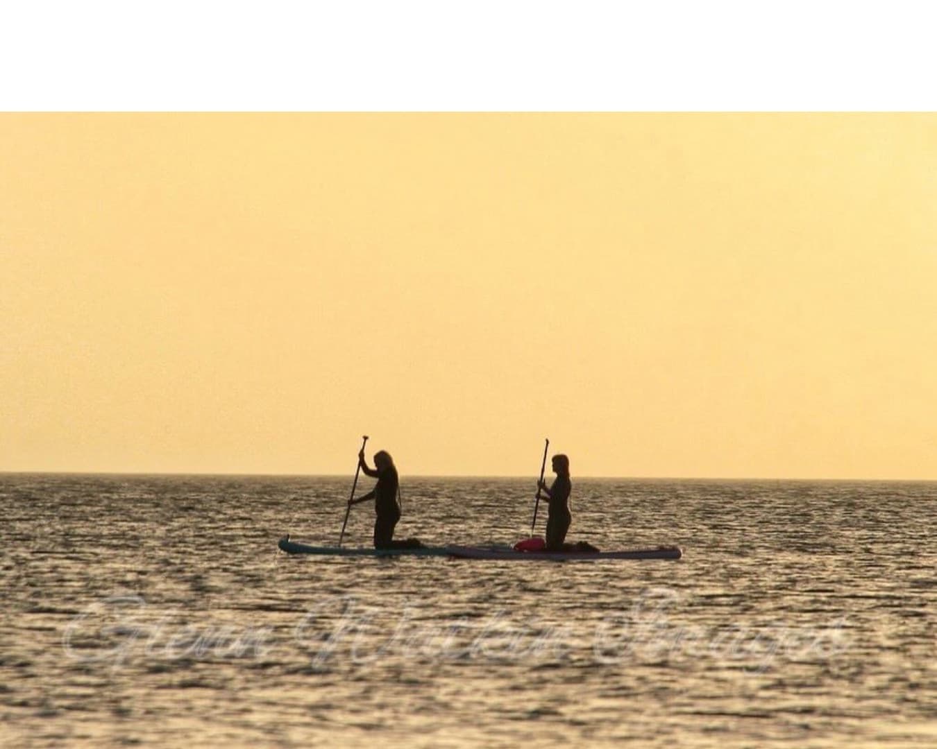 Water Activities & Paddleboard Tours at Dexter’s Surf Shop