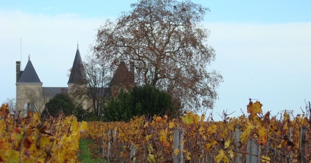 Wine Tasting Tour Bordeaux: Médoc to St Emilion with Sightseeing in France