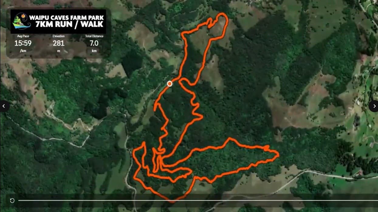 Waipu Fun Trail Run Walk — 4.5/7/10km Family-Friendly Trails in Northland photo 1