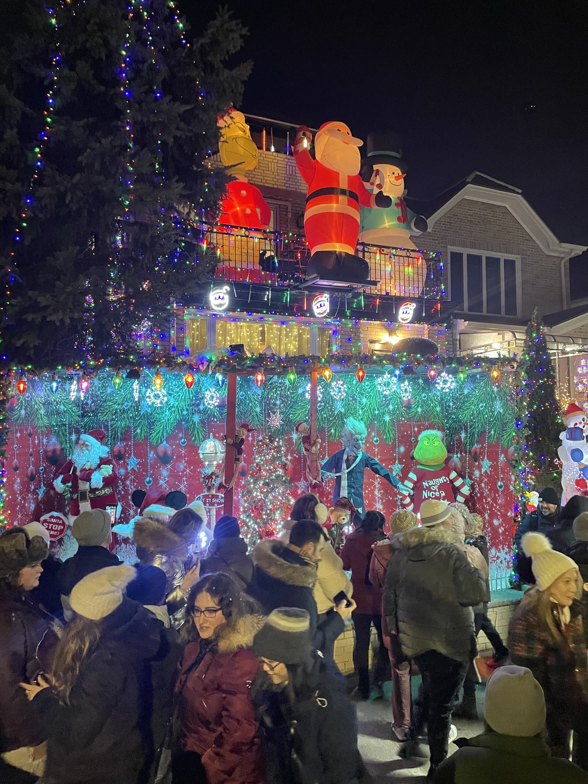 Dyker Heights After Dark: A Brooklyn Christmas Lights Tour with DUMBO Skyline Views photo 4